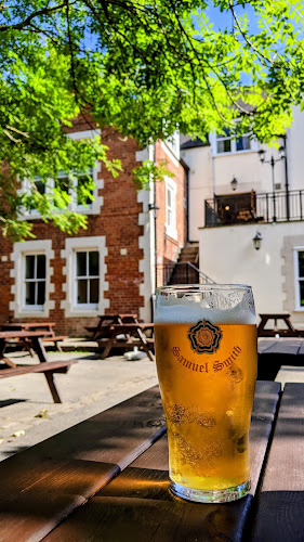 Swan & Three Cygnets