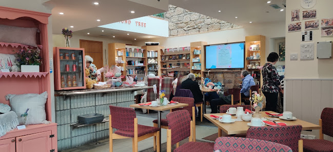 Comentarii opinii despre Almond Tree Book & Coffee Shop