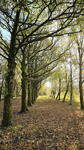 The Great House Barn