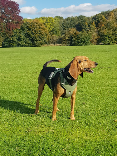 Cap Coffee - Hospitality and gastronomy