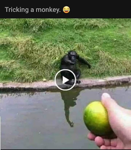 Englefield Ave, Connah's Quay, Deeside CH5 4SX, United Kingdom