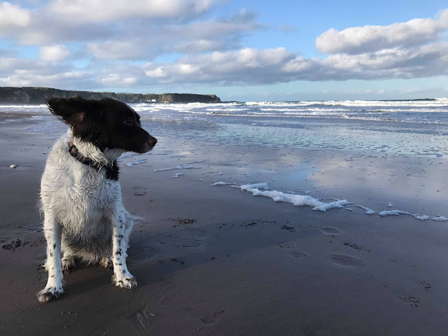 Blackwater Bar - Ballymoney