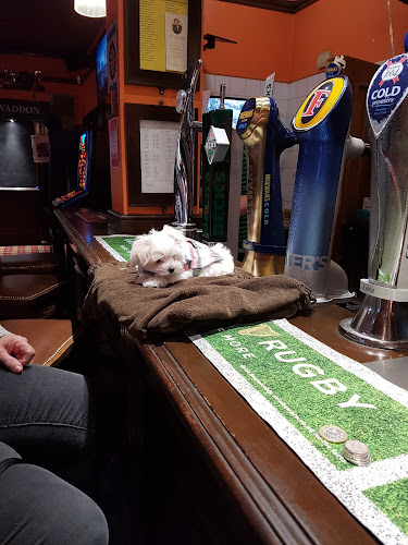 Waddon Hotel - Croydon