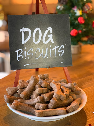 Opinii despre The Peloton Café în Hull - Hospitality and gastronomy