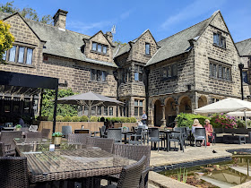 Pine Marten Harrogate