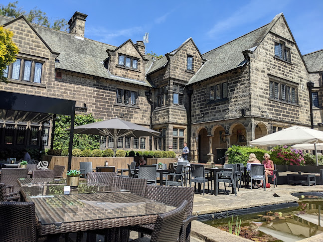 Pine Marten Harrogate