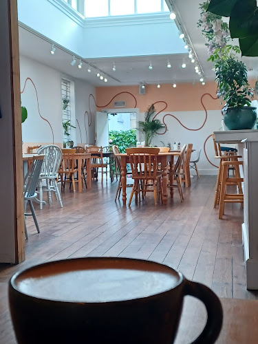 Daisy & Bean Bakeshop