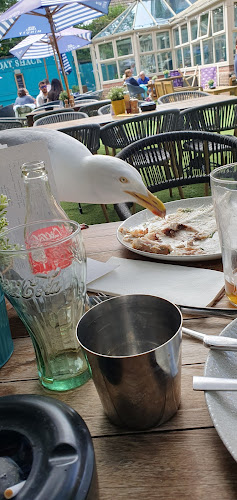 Comentarii opinii despre The Canford Pub