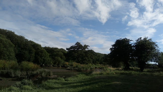 Comentarii opinii despre The Wheel Inn