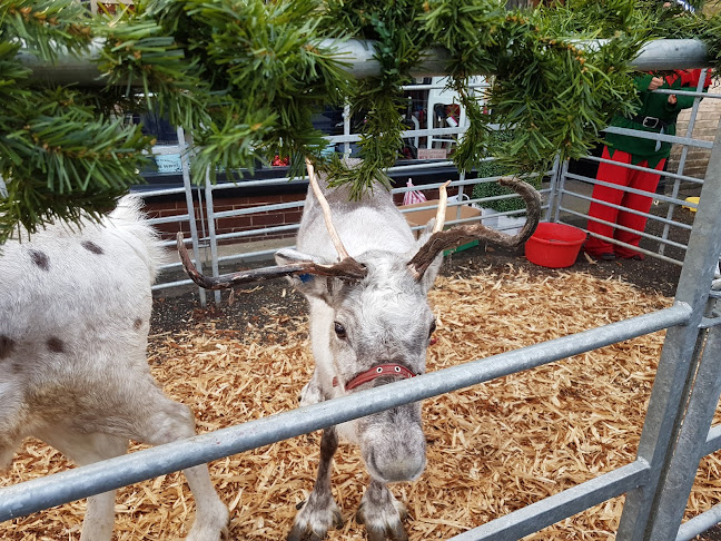 Fairlands Diner - Wymondham