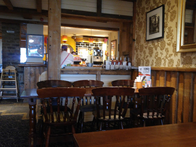 Comentarii opinii despre Waggon Team