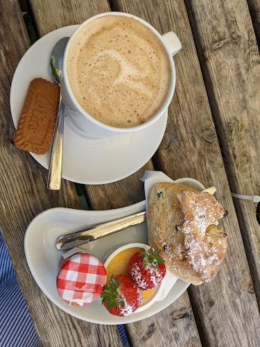 Vernon Cottage - Hospitality and gastronomy