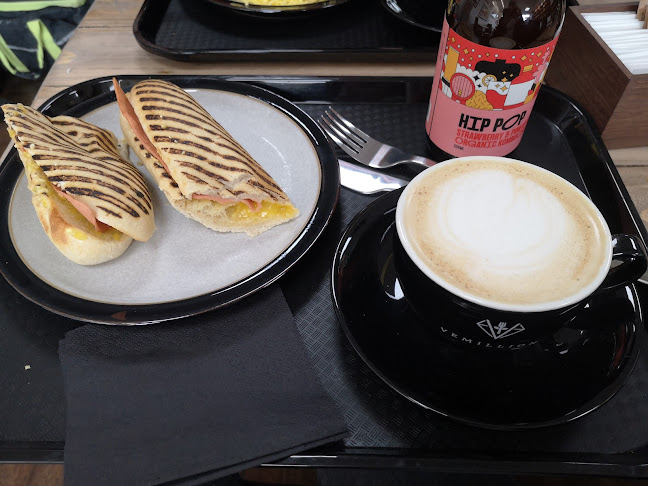 Comentarii opinii despre Vemillion