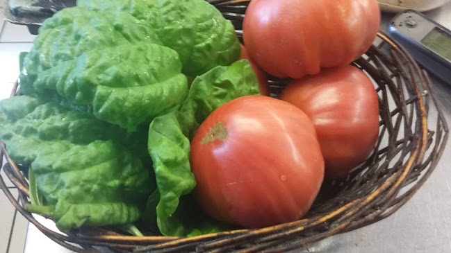 Opinii despre La Pergola în Cambridge - Hospitality and gastronomy