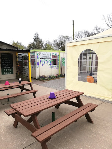 the sanctuary cafe - Hospitality and gastronomy