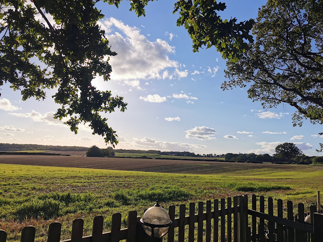 Comentarii opinii despre The Stag