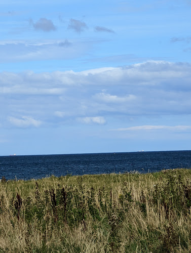 Stray Cafe - Hospitality and gastronomy