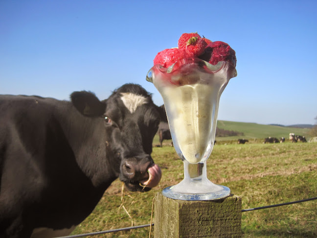 Over Langshaw Farmhouse Ice Cream - Hospitality and gastronomy