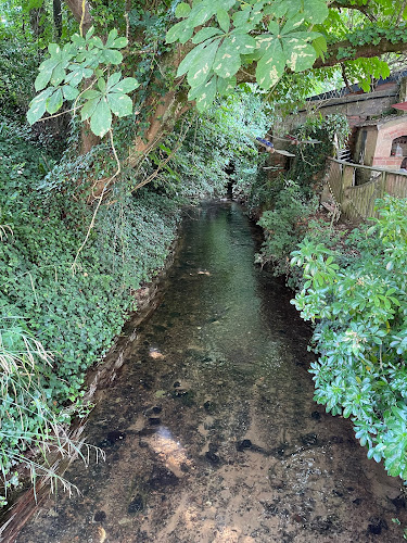 Comentarii opinii despre Otterton Mill