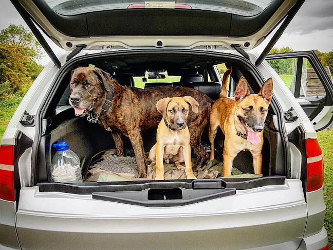 Comentarii opinii despre Cyprus Garden Meze Bar & Turkish Cypriot Restaurant