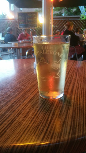 The Whalebone - Norwich