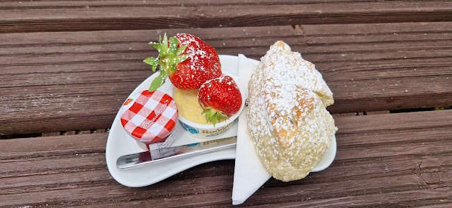 Opinii despre Vernon Cottage în Shanklin - Hospitality and gastronomy