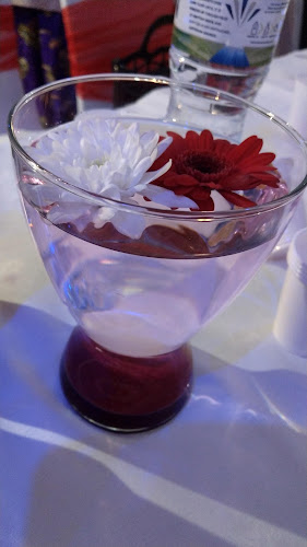 Cyprus Garden Meze Bar & Turkish Cypriot Restaurant - Hospitality and gastronomy