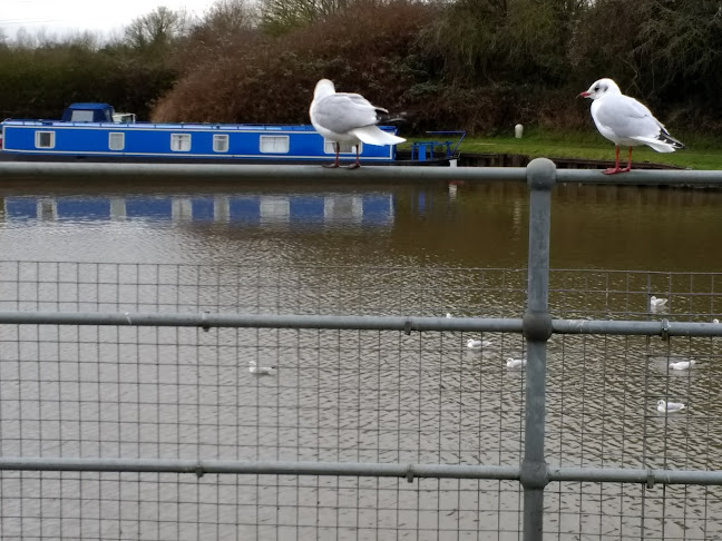 Opinii despre Cakes by Anne în Gloucester - Hospitality and gastronomy