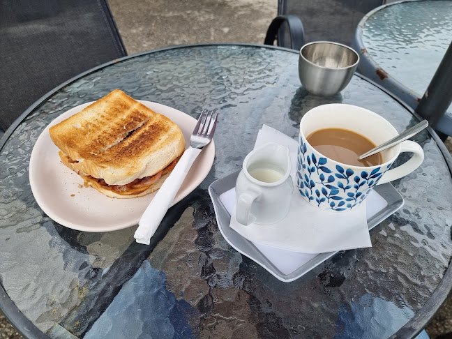 Fig Tree Coffee Shop - Hospitality and gastronomy