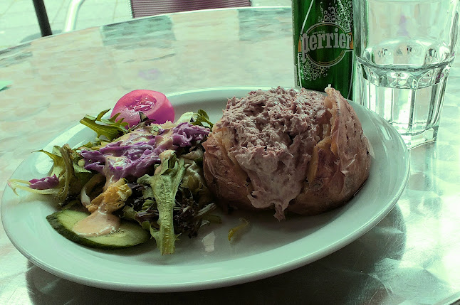 Comentarii opinii despre The Red Mingo 🦩