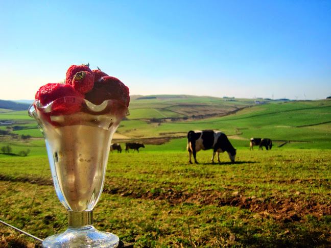 Comentarii opinii despre Over Langshaw Farmhouse Ice Cream