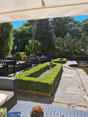 Pine Marten Harrogate - Harrogate