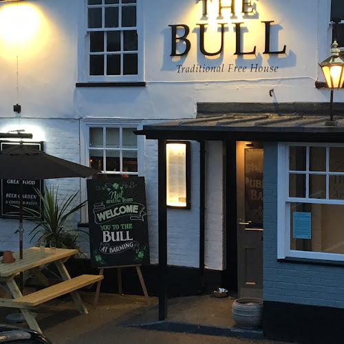 Bull Maidstone