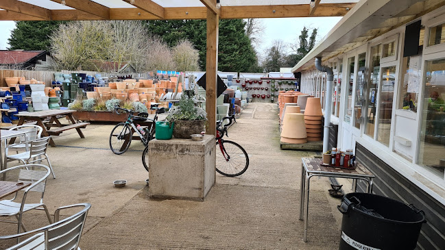 Rowan Cafe - Hospitality and gastronomy