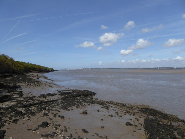 Comentarii opinii despre Carte D’or Ice Cream Parlour & Cafe