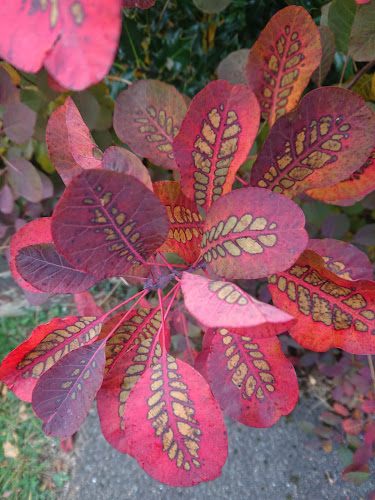 Opinii despre To Your Taste în Alton - Hospitality and gastronomy