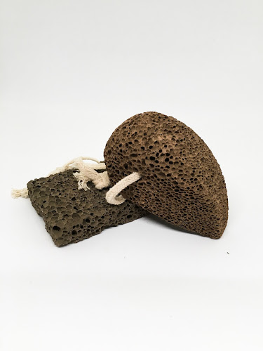 Back Garden Bee - Aberystwyth