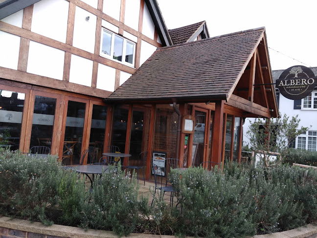 Albero Italian - Hospitality and gastronomy