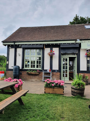 Verulamium Park, St Michael's St, St Albans AL3 4SN, United Kingdom