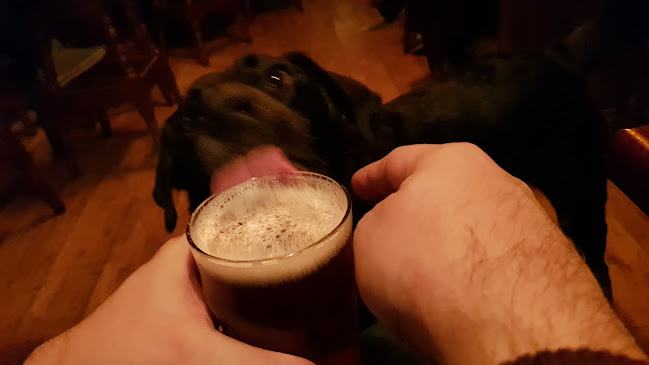 Comentarii opinii despre The Star