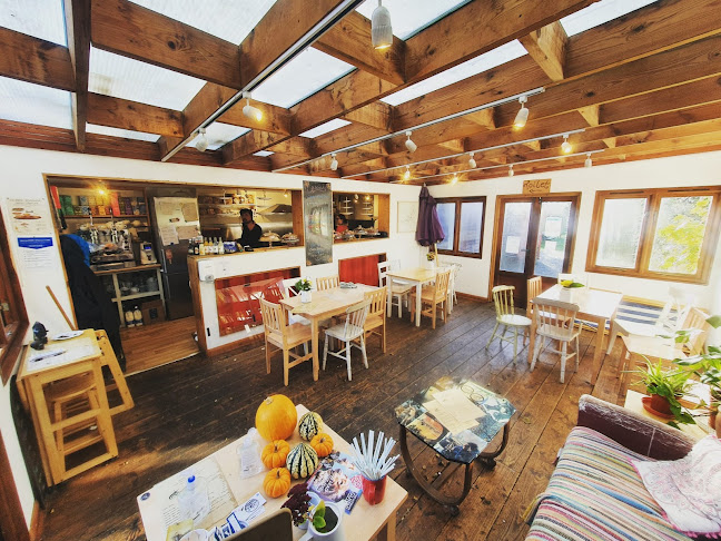 Comentarii opinii despre Snail's Pace Cafe