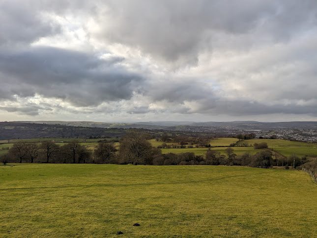 Opinii despre The Church Inn Mynyddislwyn în Blackwood - Hospitality and gastronomy