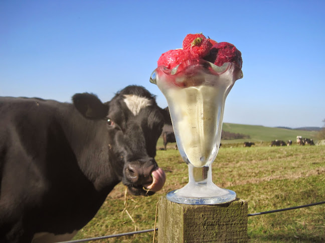 Over Langshaw Farmhouse Ice Cream - Hospitality and gastronomy