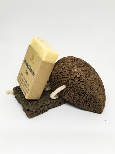 Back Garden Bee - Aberystwyth