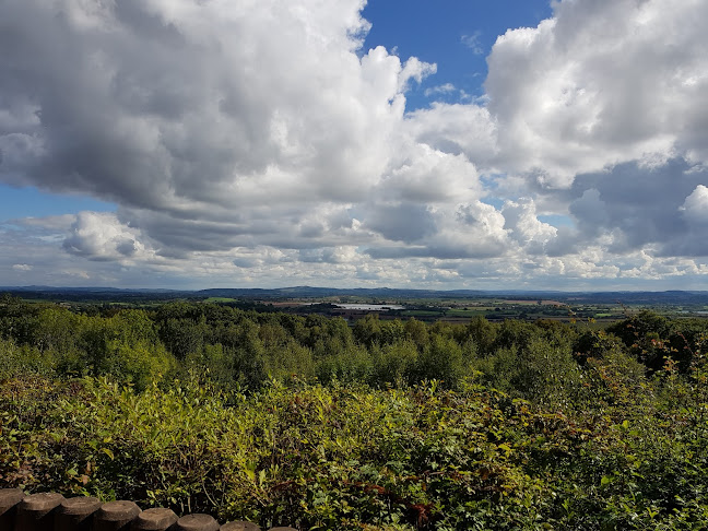 Comentarii opinii despre Queenswood Cafe