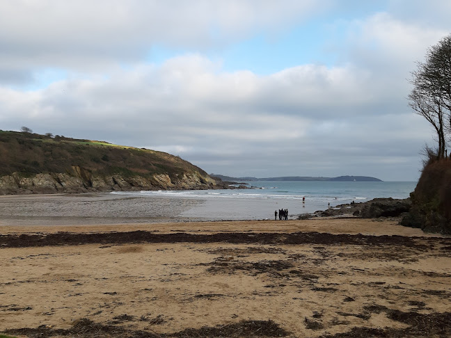 The Cove At Maenporth - Hospitality and gastronomy