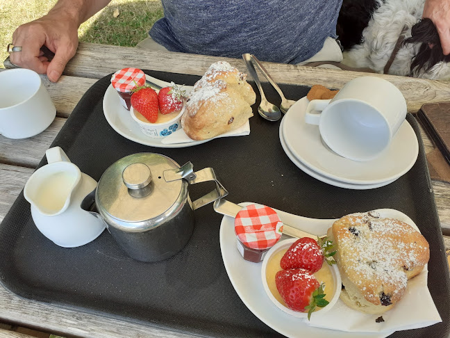 Opinii despre Vernon Cottage în Shanklin - Hospitality and gastronomy