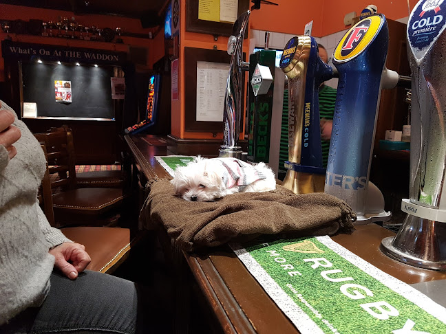 2 Stafford Rd, Croydon CR0 4NL