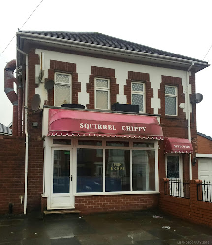 The Squirrel Chippy