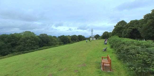 Allt-Yr-Yn Avenue, Newport NP20 5DE, United Kingdom